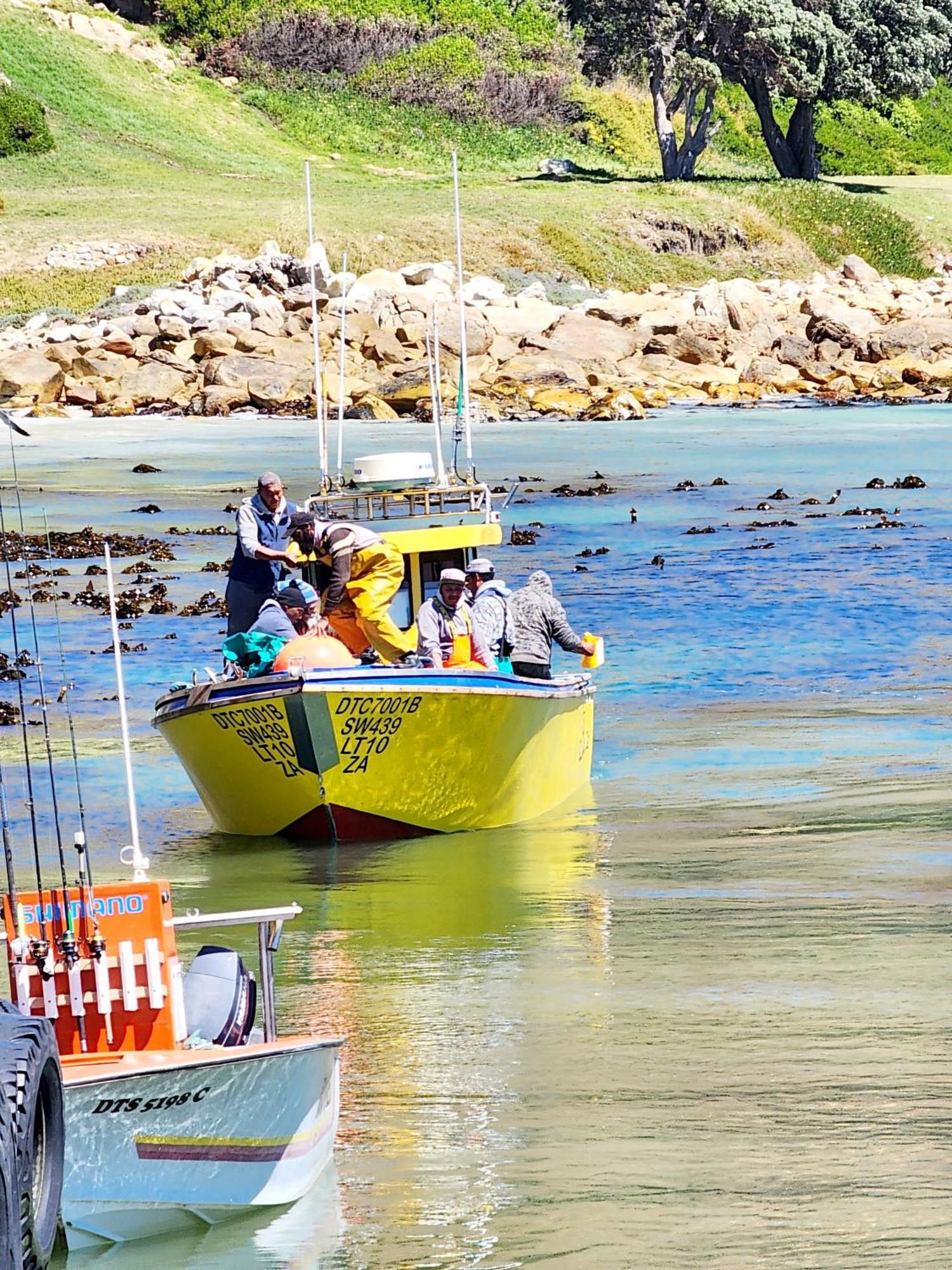The Tides Bed & Breakfast Simon's Town Ngoại thất bức ảnh