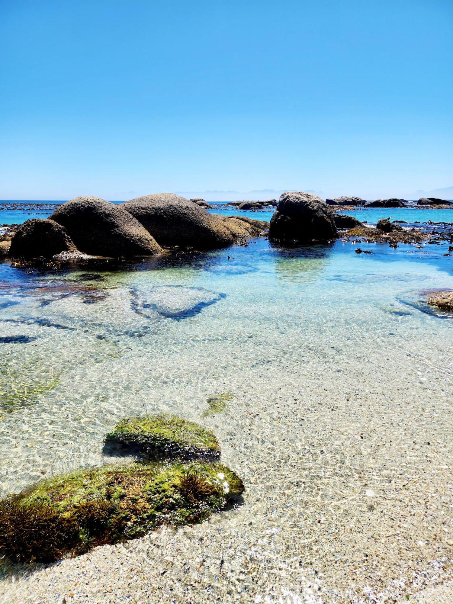 The Tides Bed & Breakfast Simon's Town Ngoại thất bức ảnh